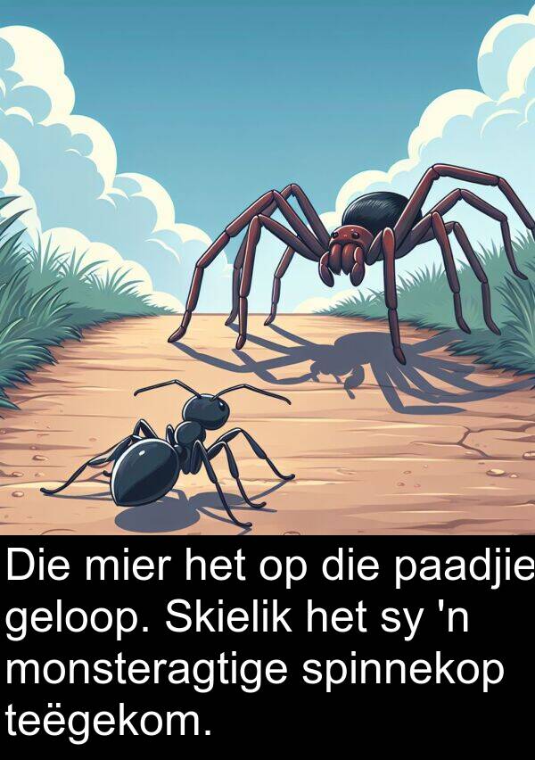 teëgekom: Die mier het op die paadjie geloop. Skielik het sy 'n monsteragtige spinnekop teëgekom.