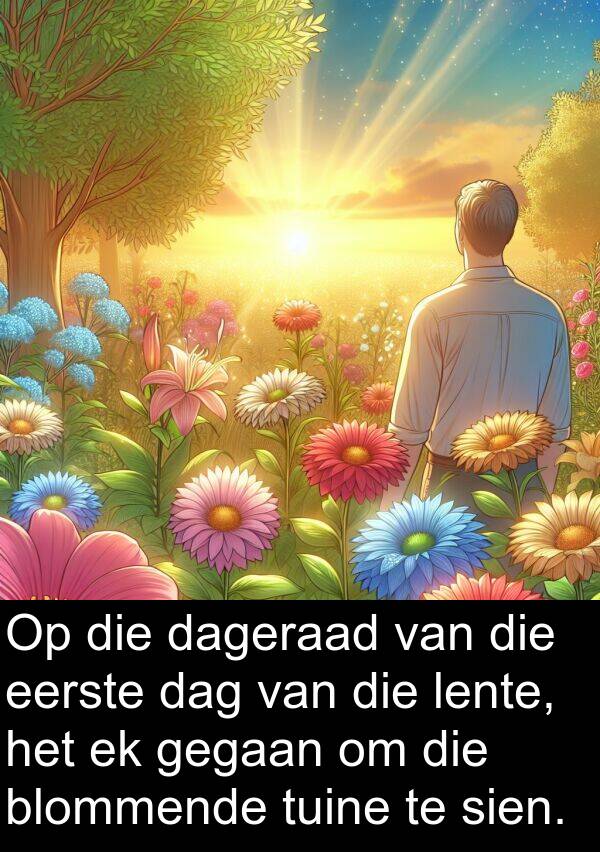 gegaan: Op die dageraad van die eerste dag van die lente, het ek gegaan om die blommende tuine te sien.