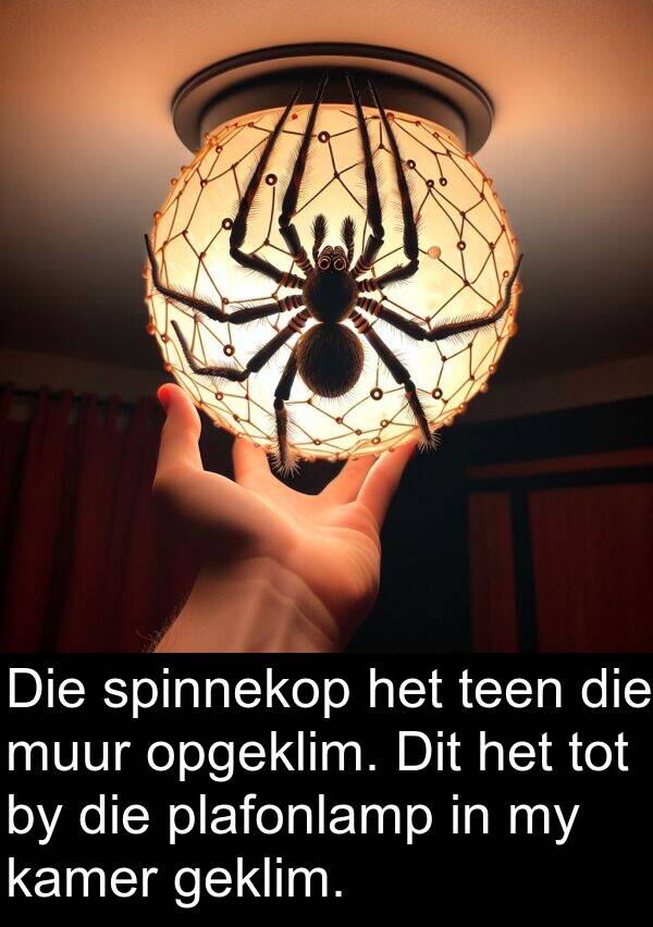 geklim: Die spinnekop het teen die muur opgeklim. Dit het tot by die plafonlamp in my kamer geklim.