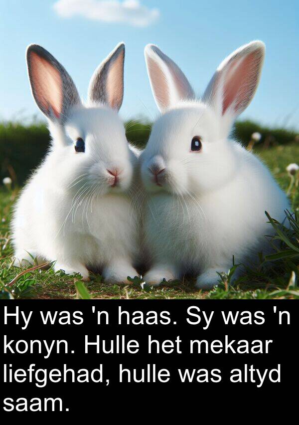 haas: Hy was 'n haas. Sy was 'n konyn. Hulle het mekaar liefgehad, hulle was altyd saam.