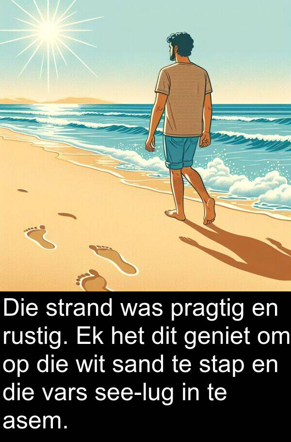 pragtig: Die strand was pragtig en rustig. Ek het dit geniet om op die wit sand te stap en die vars see-lug in te asem.