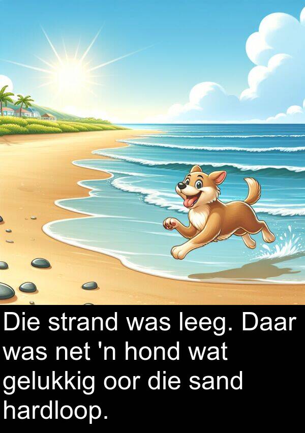 hardloop: Die strand was leeg. Daar was net 'n hond wat gelukkig oor die sand hardloop.