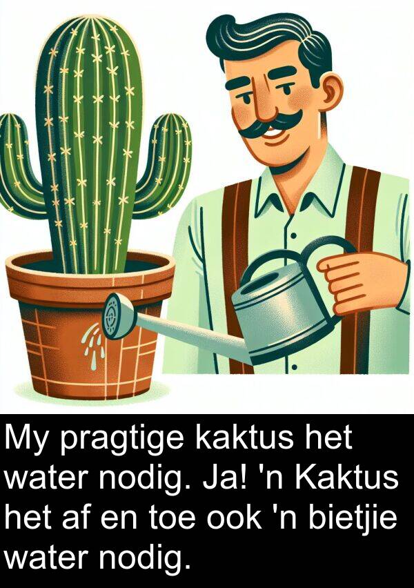 nodig: My pragtige kaktus het water nodig. Ja! 'n Kaktus het af en toe ook 'n bietjie water nodig.