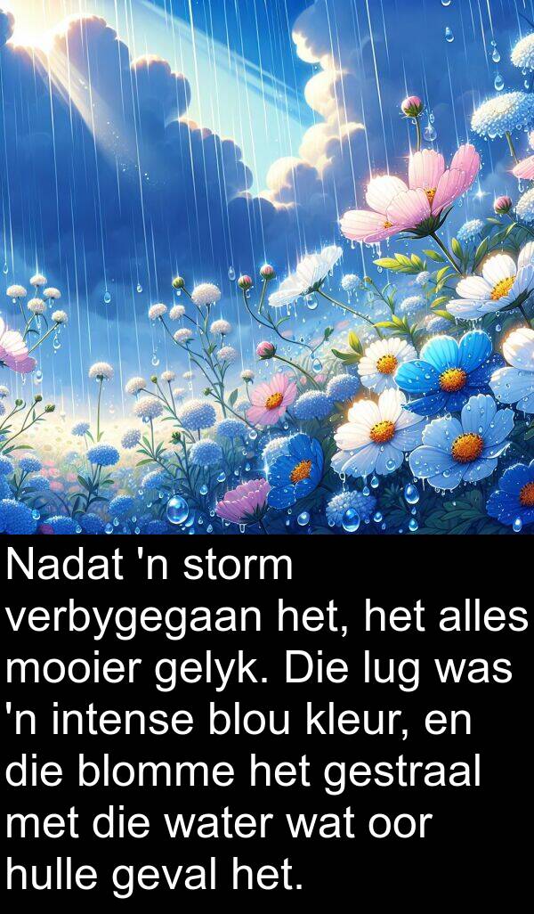 alles: Nadat 'n storm verbygegaan het, het alles mooier gelyk. Die lug was 'n intense blou kleur, en die blomme het gestraal met die water wat oor hulle geval het.