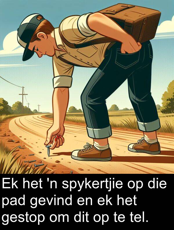 tel: Ek het 'n spykertjie op die pad gevind en ek het gestop om dit op te tel.