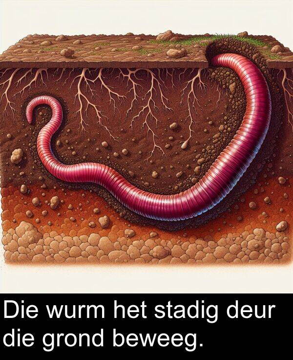 deur: Die wurm het stadig deur die grond beweeg.