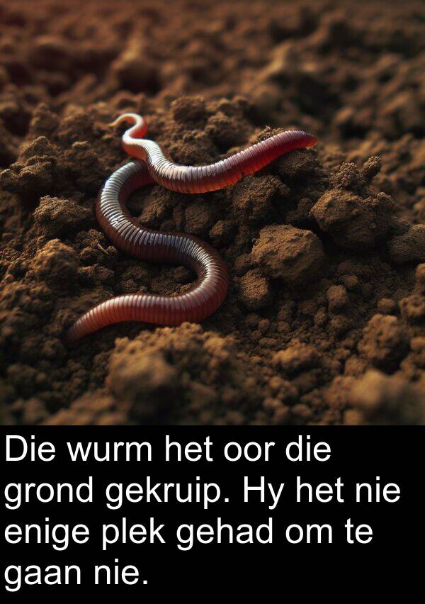 plek: Die wurm het oor die grond gekruip. Hy het nie enige plek gehad om te gaan nie.