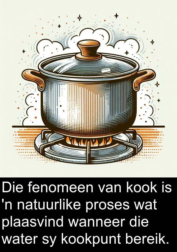 natuurlike: Die fenomeen van kook is 'n natuurlike proses wat plaasvind wanneer die water sy kookpunt bereik.