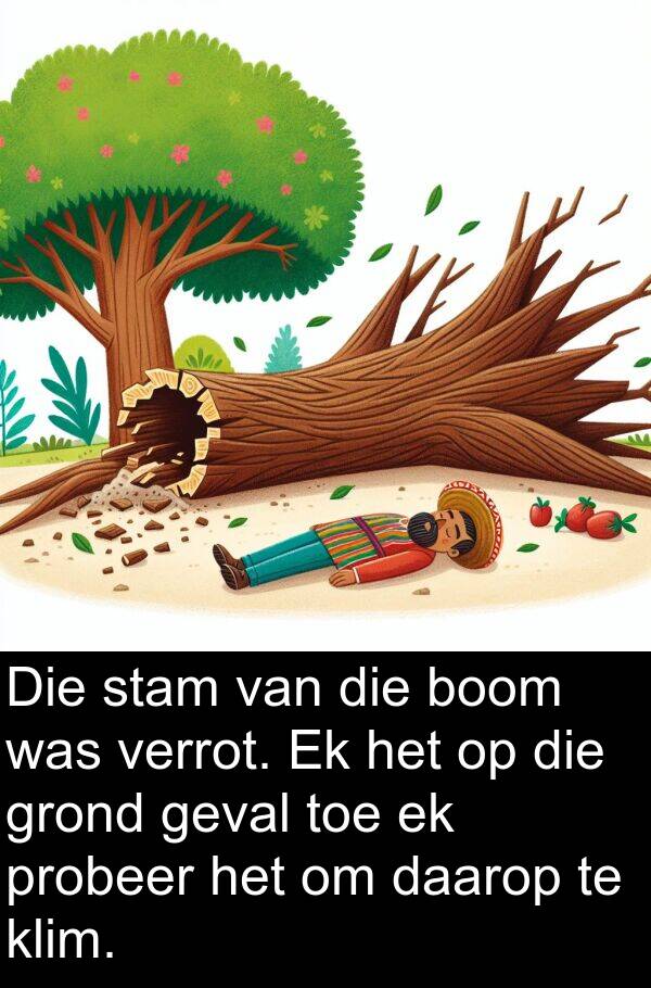 probeer: Die stam van die boom was verrot. Ek het op die grond geval toe ek probeer het om daarop te klim.