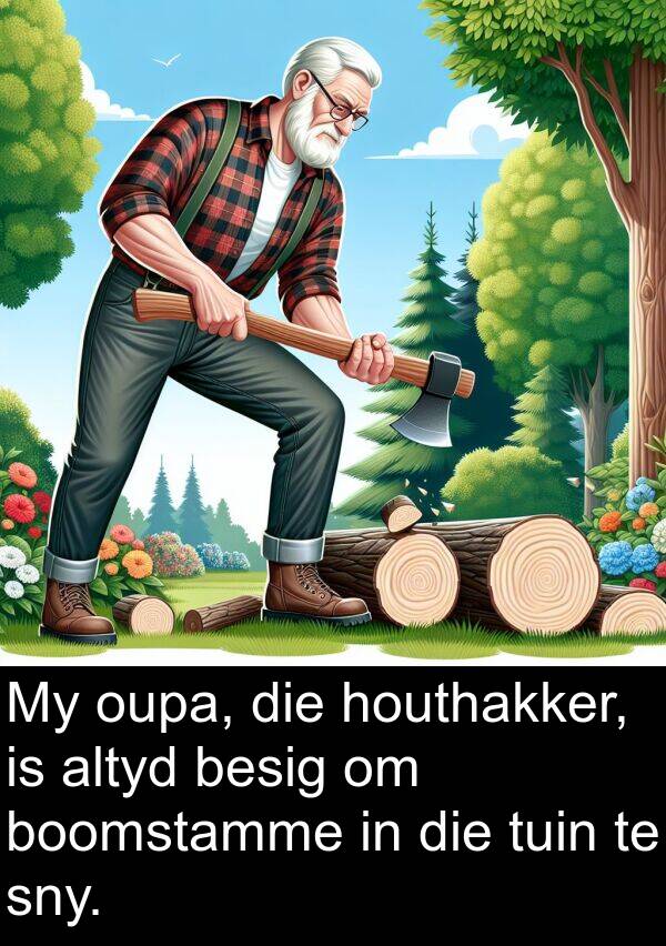 tuin: My oupa, die houthakker, is altyd besig om boomstamme in die tuin te sny.