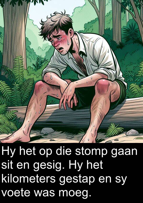 sit: Hy het op die stomp gaan sit en gesig. Hy het kilometers gestap en sy voete was moeg.