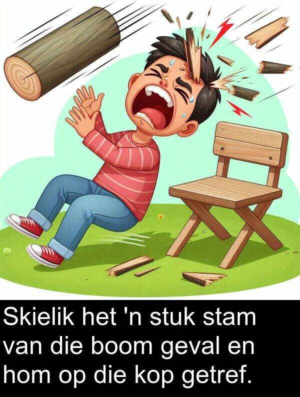 hom: Skielik het 'n stuk stam van die boom geval en hom op die kop getref.