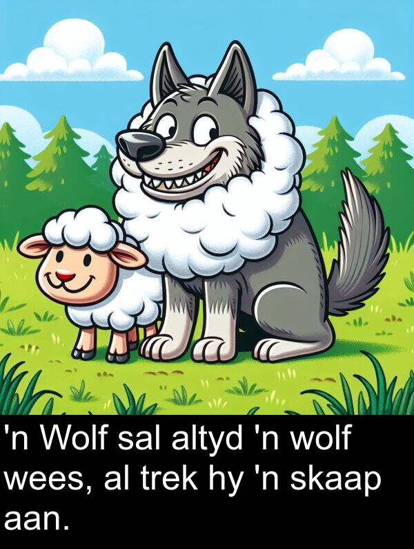 trek: 'n Wolf sal altyd 'n wolf wees, al trek hy 'n skaap aan.