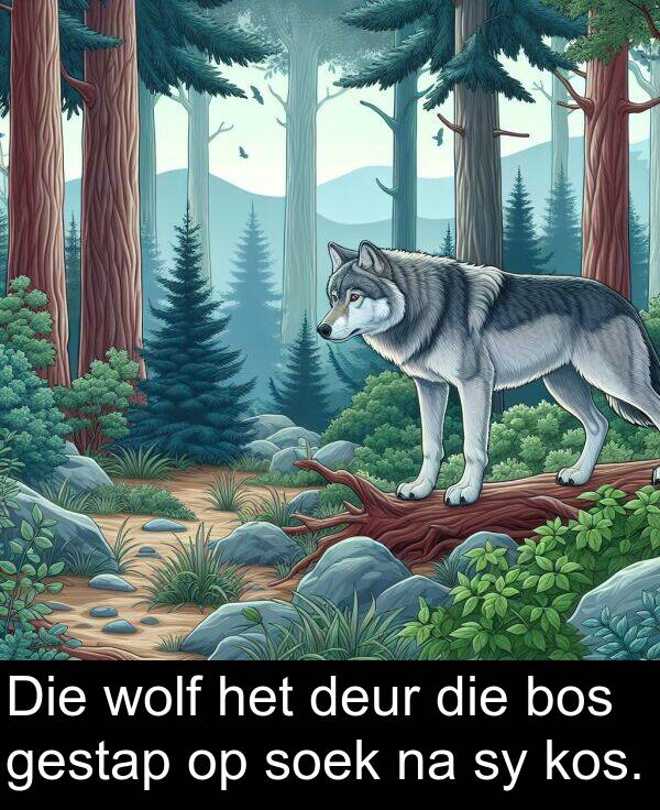 deur: Die wolf het deur die bos gestap op soek na sy kos.