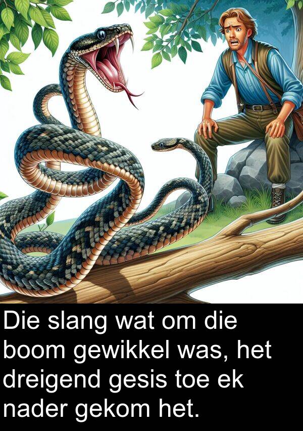 gekom: Die slang wat om die boom gewikkel was, het dreigend gesis toe ek nader gekom het.