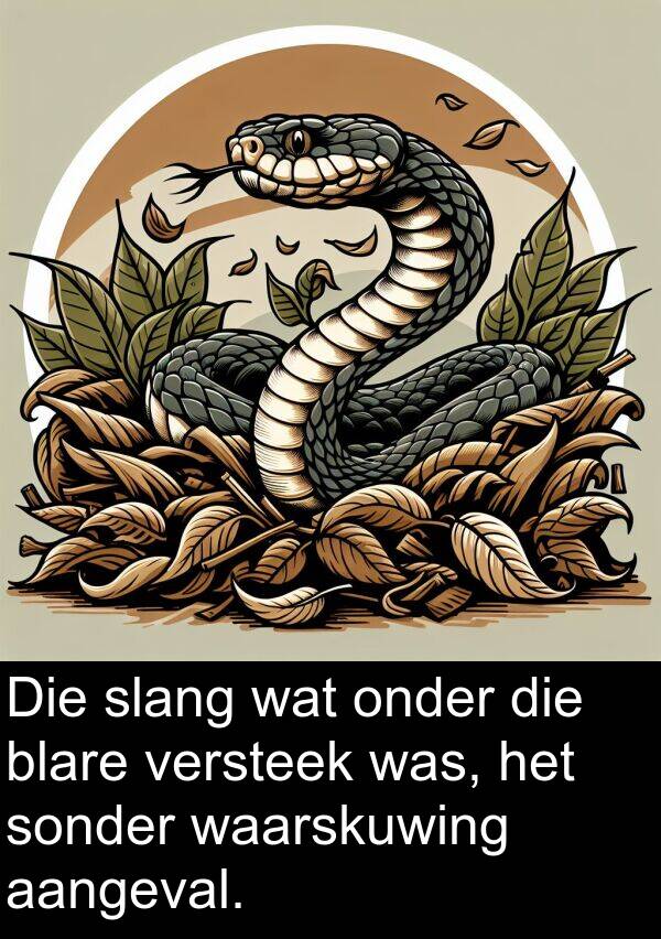 aangeval: Die slang wat onder die blare versteek was, het sonder waarskuwing aangeval.