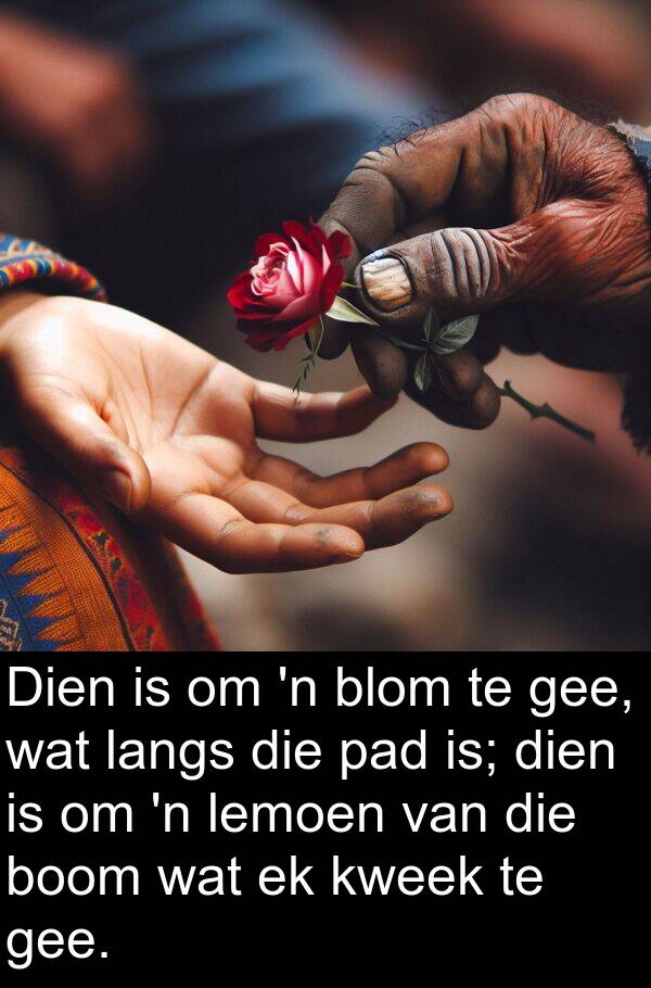 dien: Dien is om 'n blom te gee, wat langs die pad is; dien is om 'n lemoen van die boom wat ek kweek te gee.