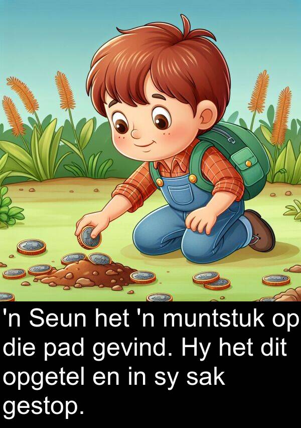 pad: 'n Seun het 'n muntstuk op die pad gevind. Hy het dit opgetel en in sy sak gestop.