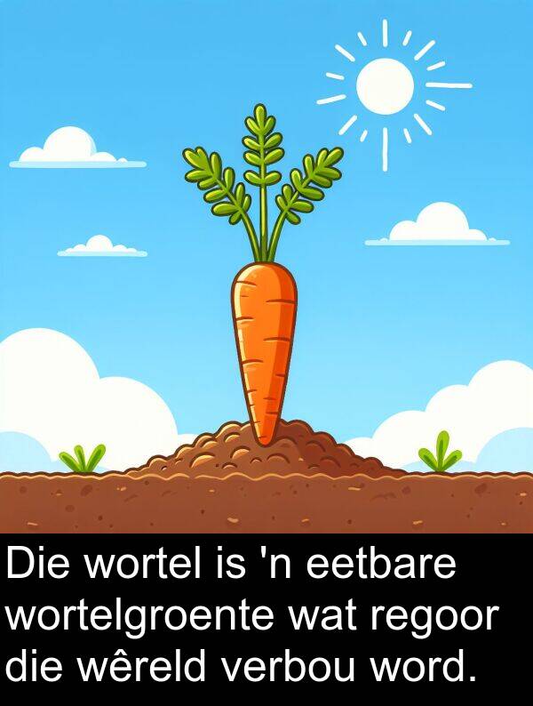 verbou: Die wortel is 'n eetbare wortelgroente wat regoor die wêreld verbou word.