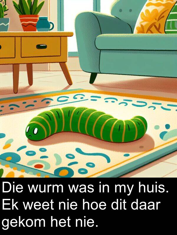 hoe: Die wurm was in my huis. Ek weet nie hoe dit daar gekom het nie.