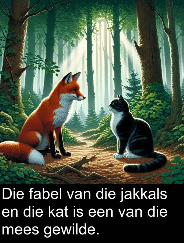 fabel: Die fabel van die jakkals en die kat is een van die mees gewilde.