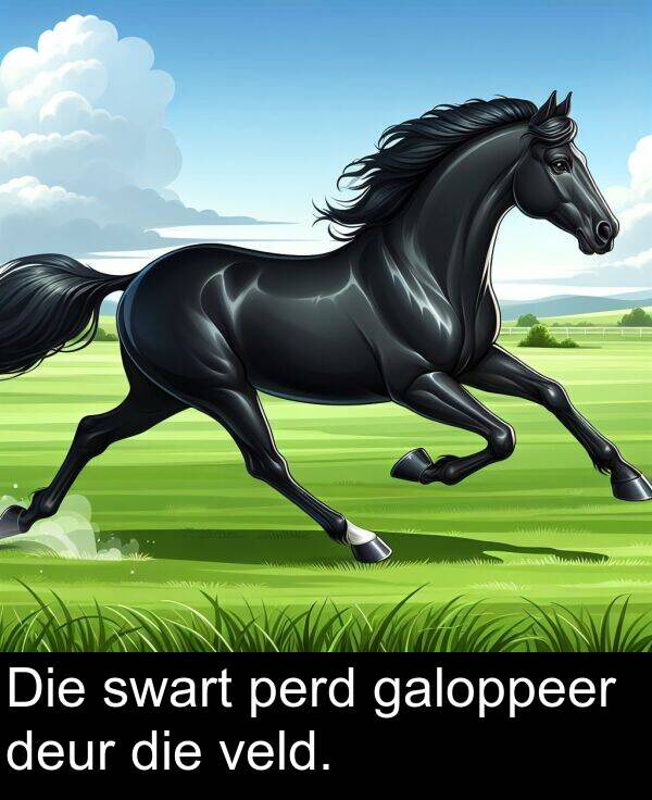 galoppeer: Die swart perd galoppeer deur die veld.