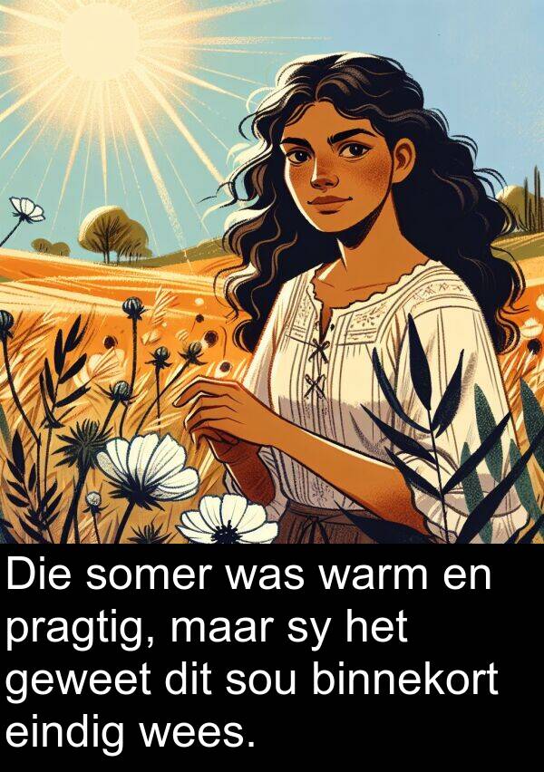 pragtig: Die somer was warm en pragtig, maar sy het geweet dit sou binnekort eindig wees.