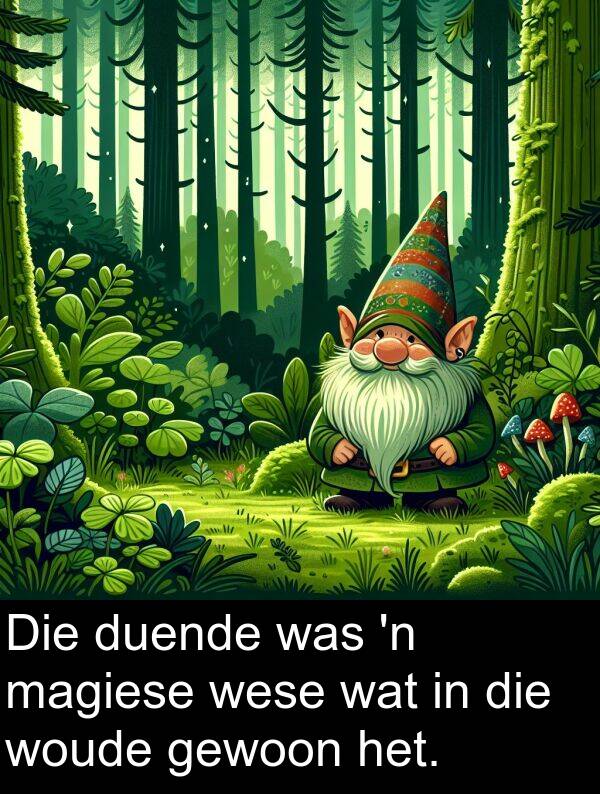 duende: Die duende was 'n magiese wese wat in die woude gewoon het.