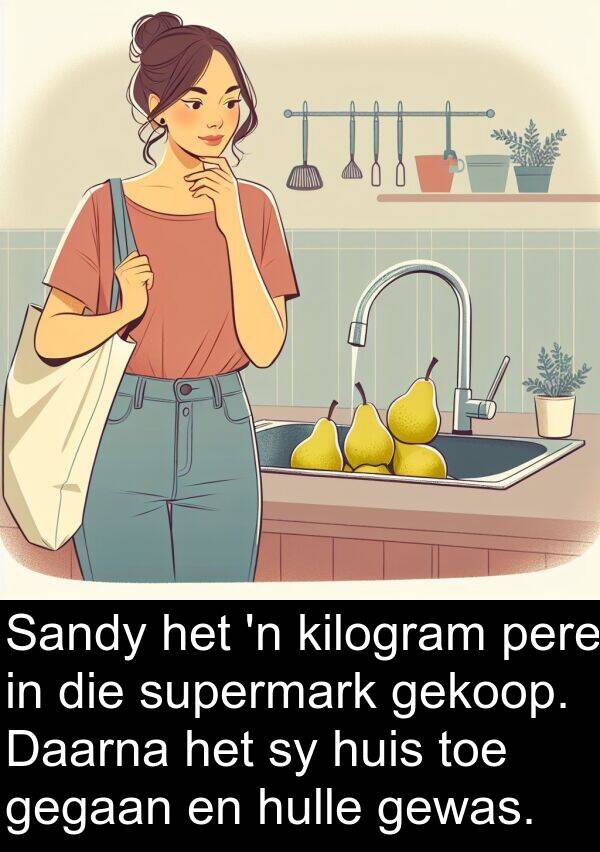 gegaan: Sandy het 'n kilogram pere in die supermark gekoop. Daarna het sy huis toe gegaan en hulle gewas.