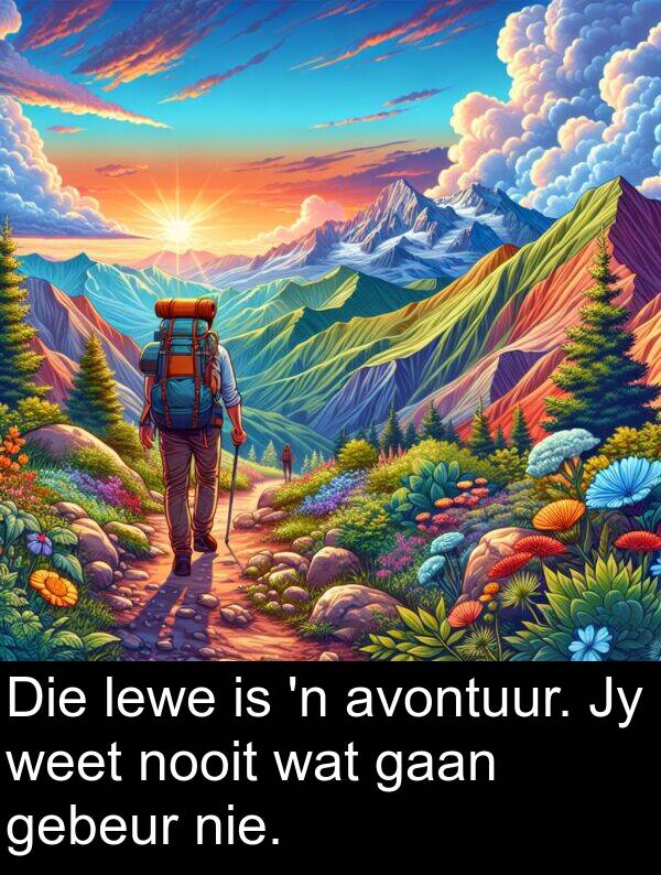 gebeur: Die lewe is 'n avontuur. Jy weet nooit wat gaan gebeur nie.