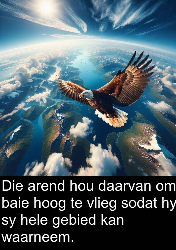 hoog: Die arend hou daarvan om baie hoog te vlieg sodat hy sy hele gebied kan waarneem.