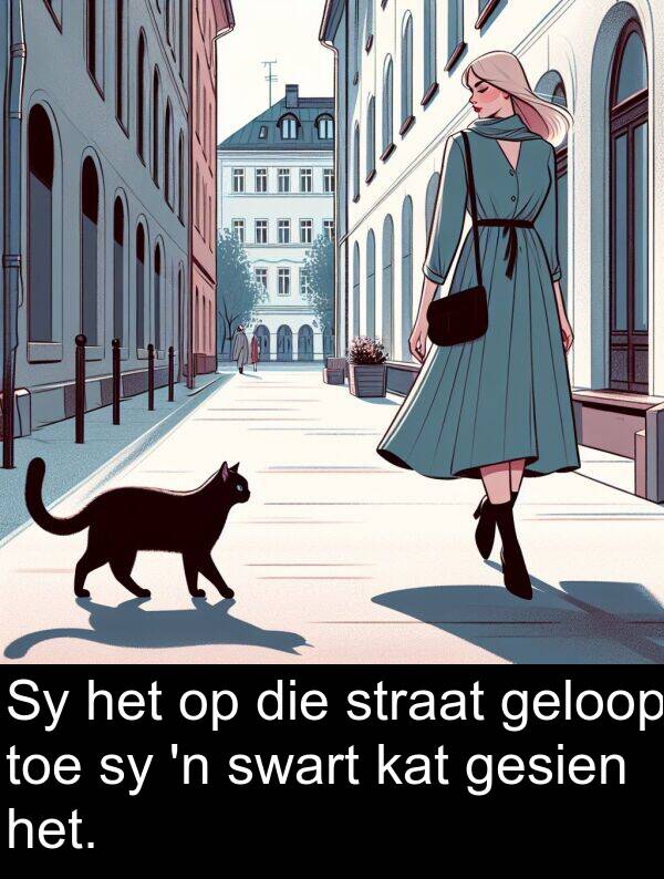 toe: Sy het op die straat geloop toe sy 'n swart kat gesien het.