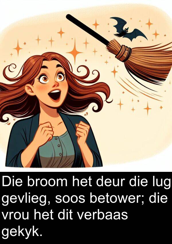 betower: Die broom het deur die lug gevlieg, soos betower; die vrou het dit verbaas gekyk.