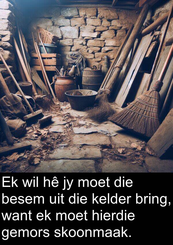 besem: Ek wil hê jy moet die besem uit die kelder bring, want ek moet hierdie gemors skoonmaak.