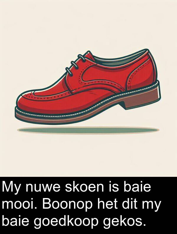 nuwe: My nuwe skoen is baie mooi. Boonop het dit my baie goedkoop gekos.