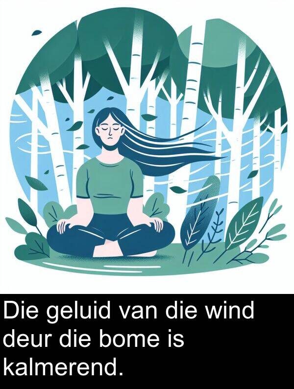 geluid: Die geluid van die wind deur die bome is kalmerend.