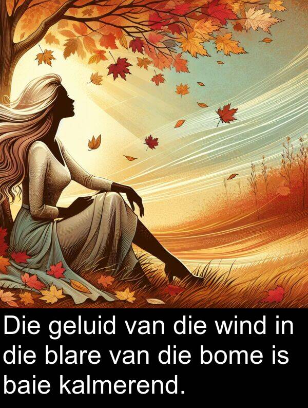 geluid: Die geluid van die wind in die blare van die bome is baie kalmerend.