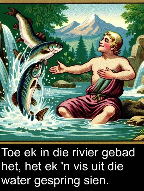 gebad: Toe ek in die rivier gebad het, het ek 'n vis uit die water gespring sien.