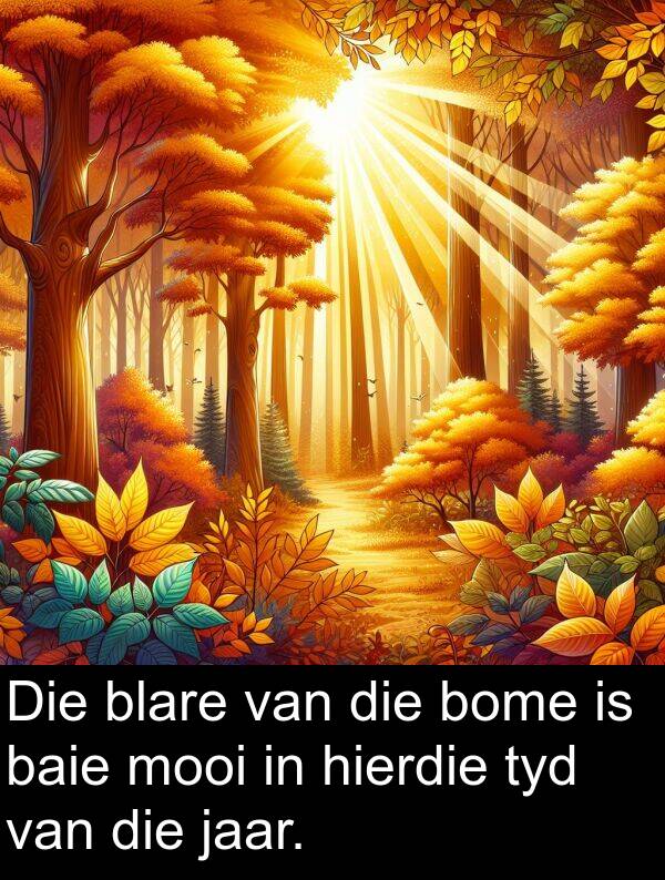 hierdie: Die blare van die bome is baie mooi in hierdie tyd van die jaar.