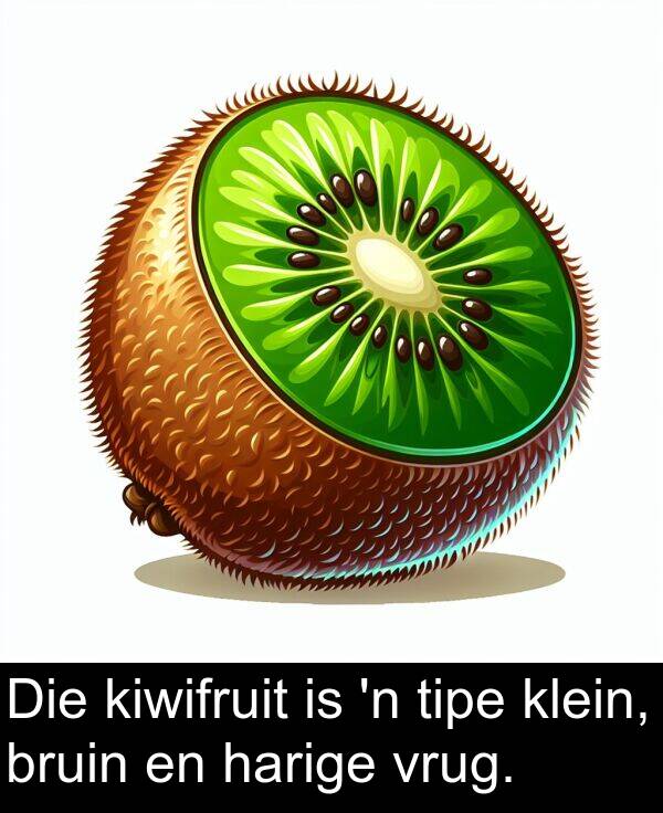 harige: Die kiwifruit is 'n tipe klein, bruin en harige vrug.