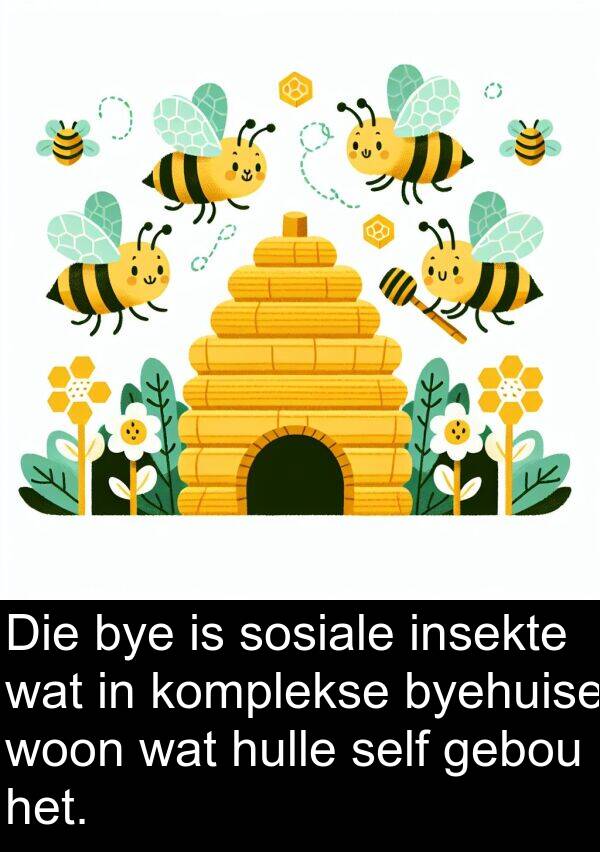 gebou: Die bye is sosiale insekte wat in komplekse byehuise woon wat hulle self gebou het.