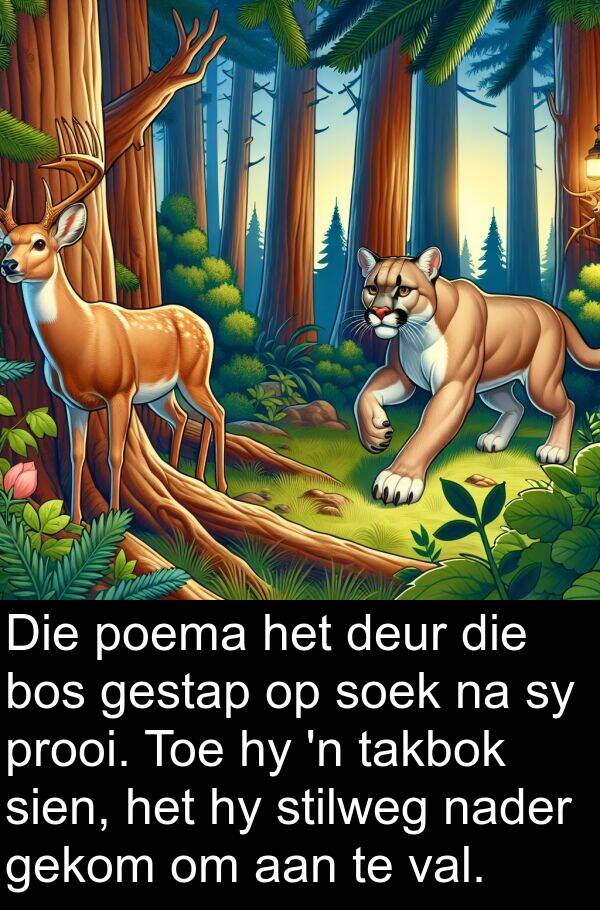 takbok: Die poema het deur die bos gestap op soek na sy prooi. Toe hy 'n takbok sien, het hy stilweg nader gekom om aan te val.