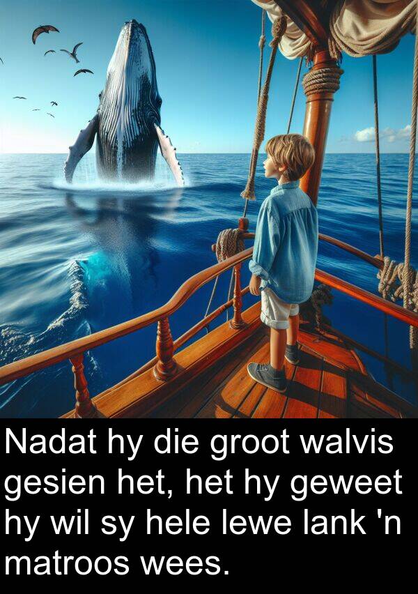 lank: Nadat hy die groot walvis gesien het, het hy geweet hy wil sy hele lewe lank 'n matroos wees.