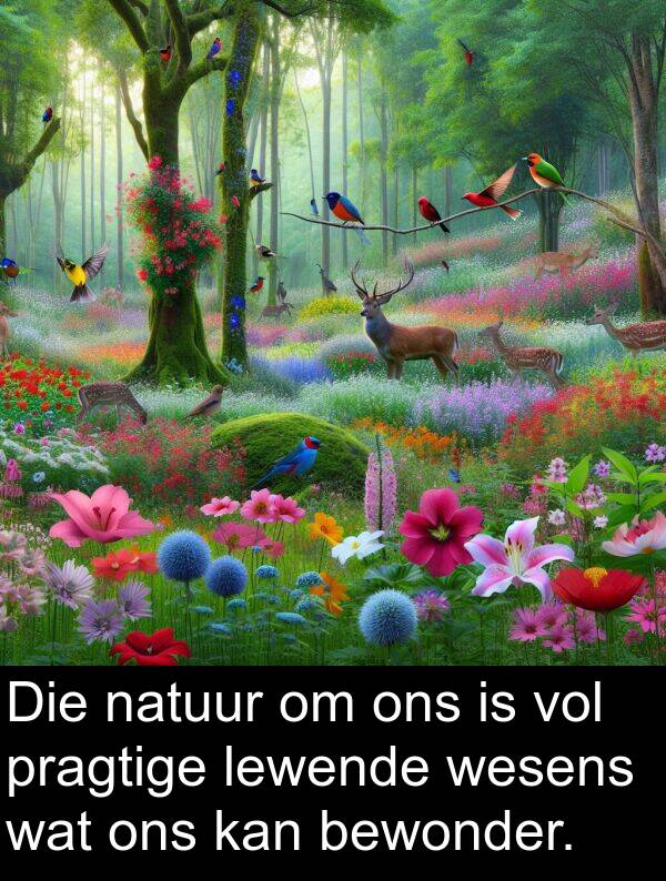 natuur: Die natuur om ons is vol pragtige lewende wesens wat ons kan bewonder.