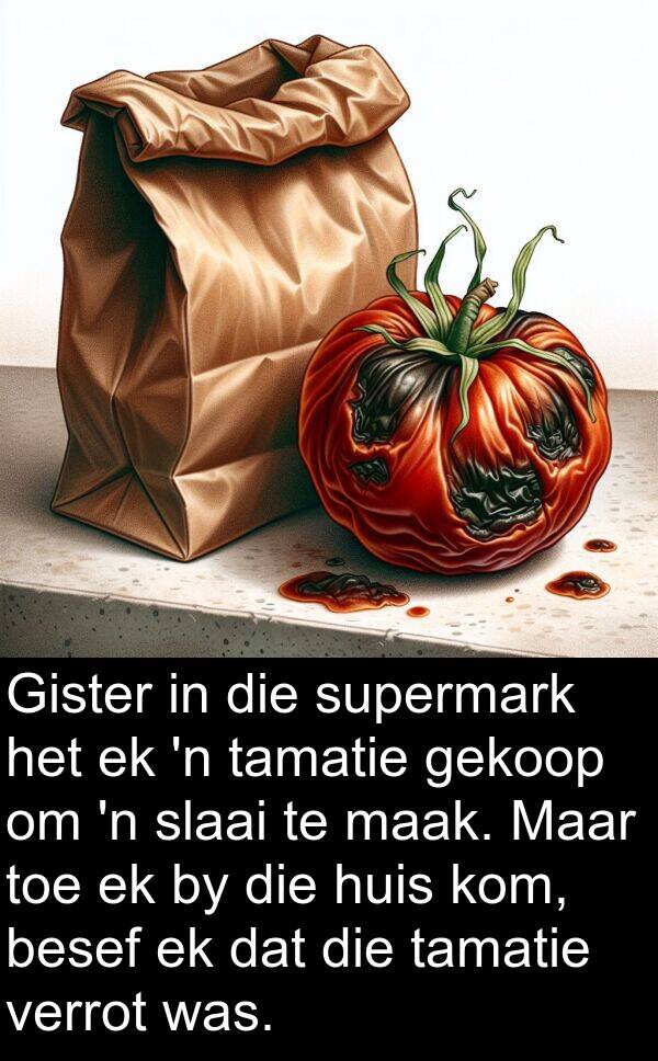 tamatie: Gister in die supermark het ek 'n tamatie gekoop om 'n slaai te maak. Maar toe ek by die huis kom, besef ek dat die tamatie verrot was.