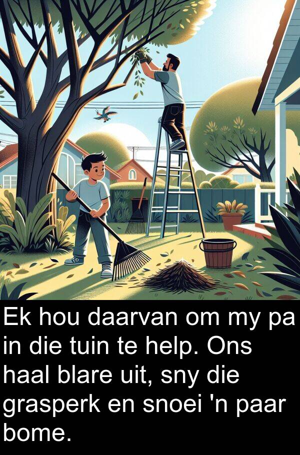 paar: Ek hou daarvan om my pa in die tuin te help. Ons haal blare uit, sny die grasperk en snoei 'n paar bome.