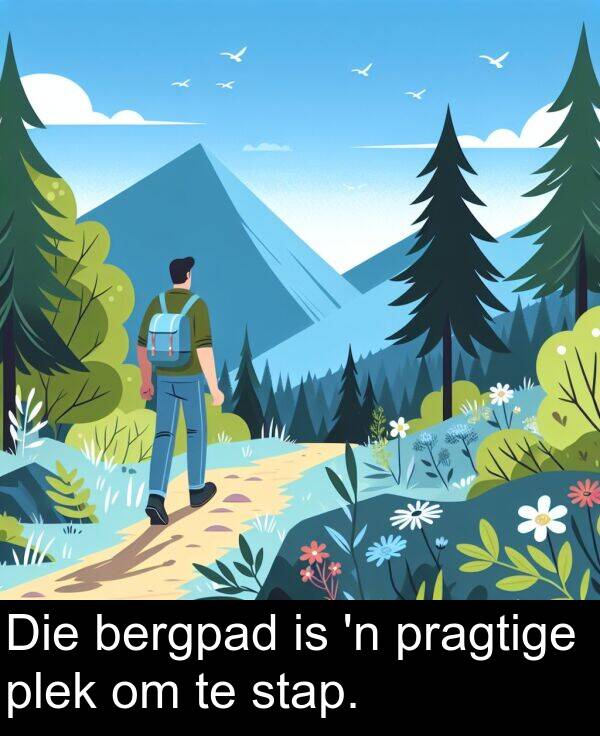 plek: Die bergpad is 'n pragtige plek om te stap.