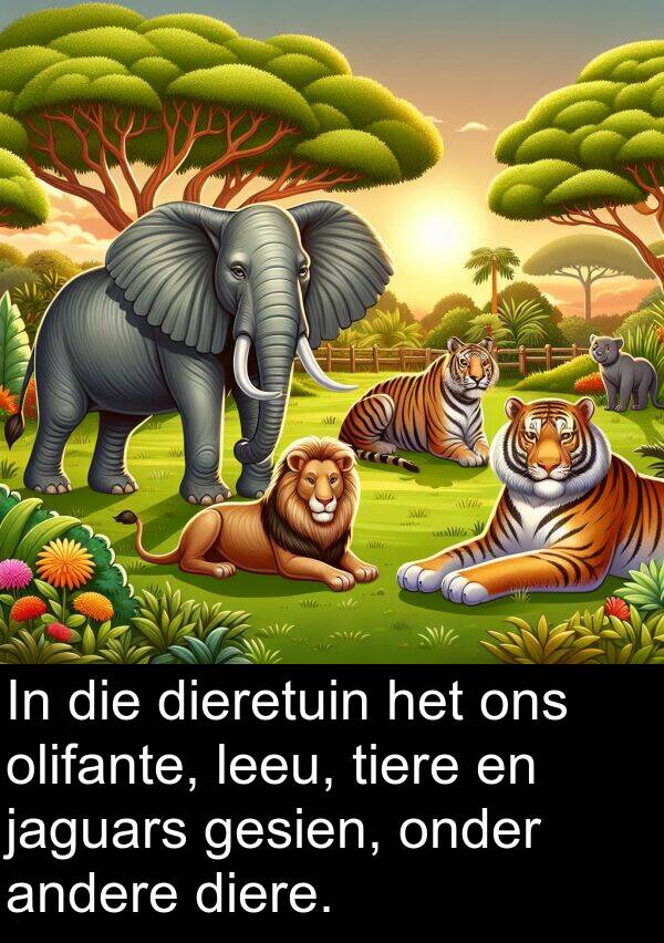 tiere: In die dieretuin het ons olifante, leeu, tiere en jaguars gesien, onder andere diere.