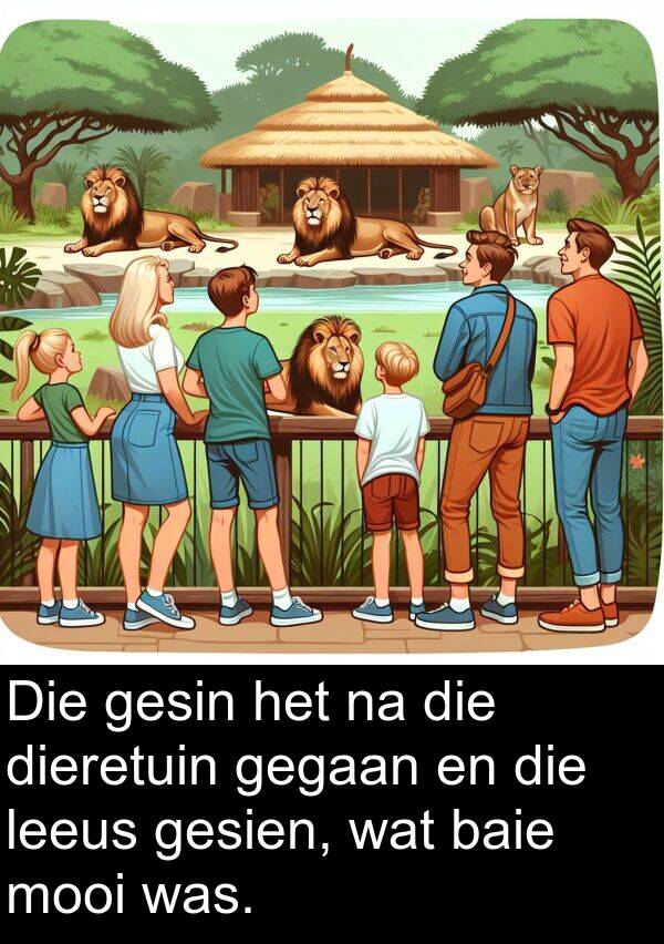 gegaan: Die gesin het na die dieretuin gegaan en die leeus gesien, wat baie mooi was.