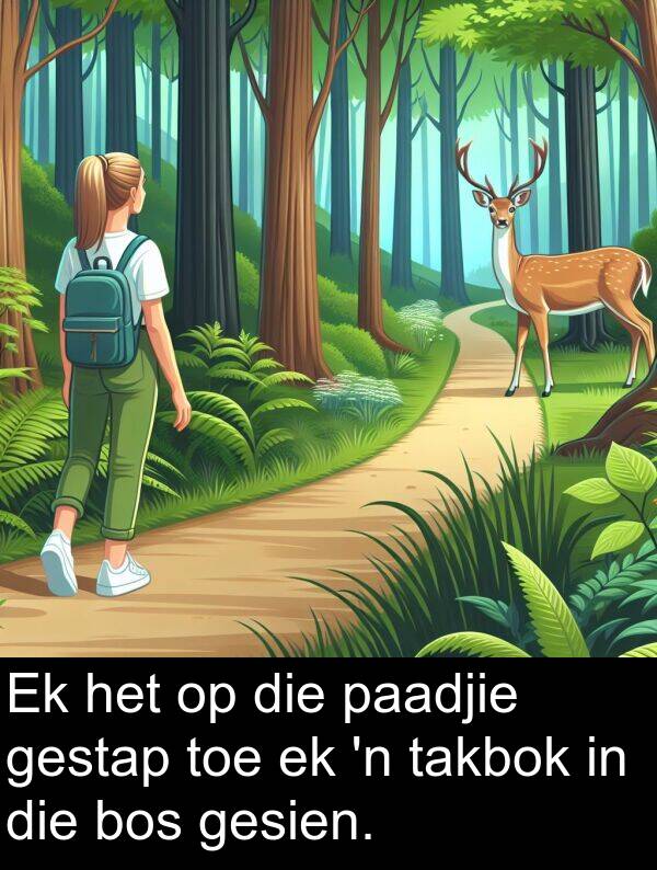 takbok: Ek het op die paadjie gestap toe ek 'n takbok in die bos gesien.